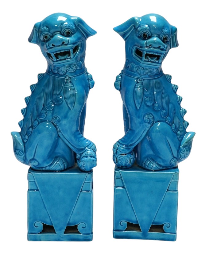 A pair of Chinese turquoise glazed lion dogs, 29cm. Condition - good